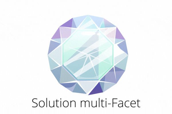 Facet - Partenaire Financier de Conforama